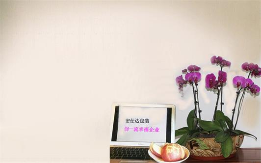 粽子礼盒-简约简单，宏仕达包装