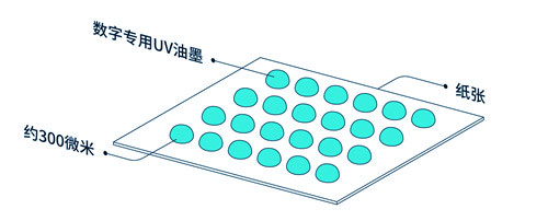 点字印刷